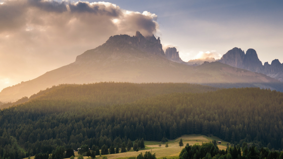 The Top 3 Reasons Travel Nurse Newbies and Veterans Want Wanderly